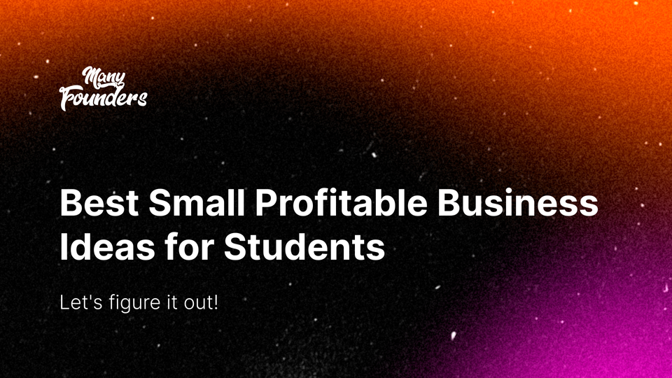 Best Small Profitable Business Ideas for Students [2024]